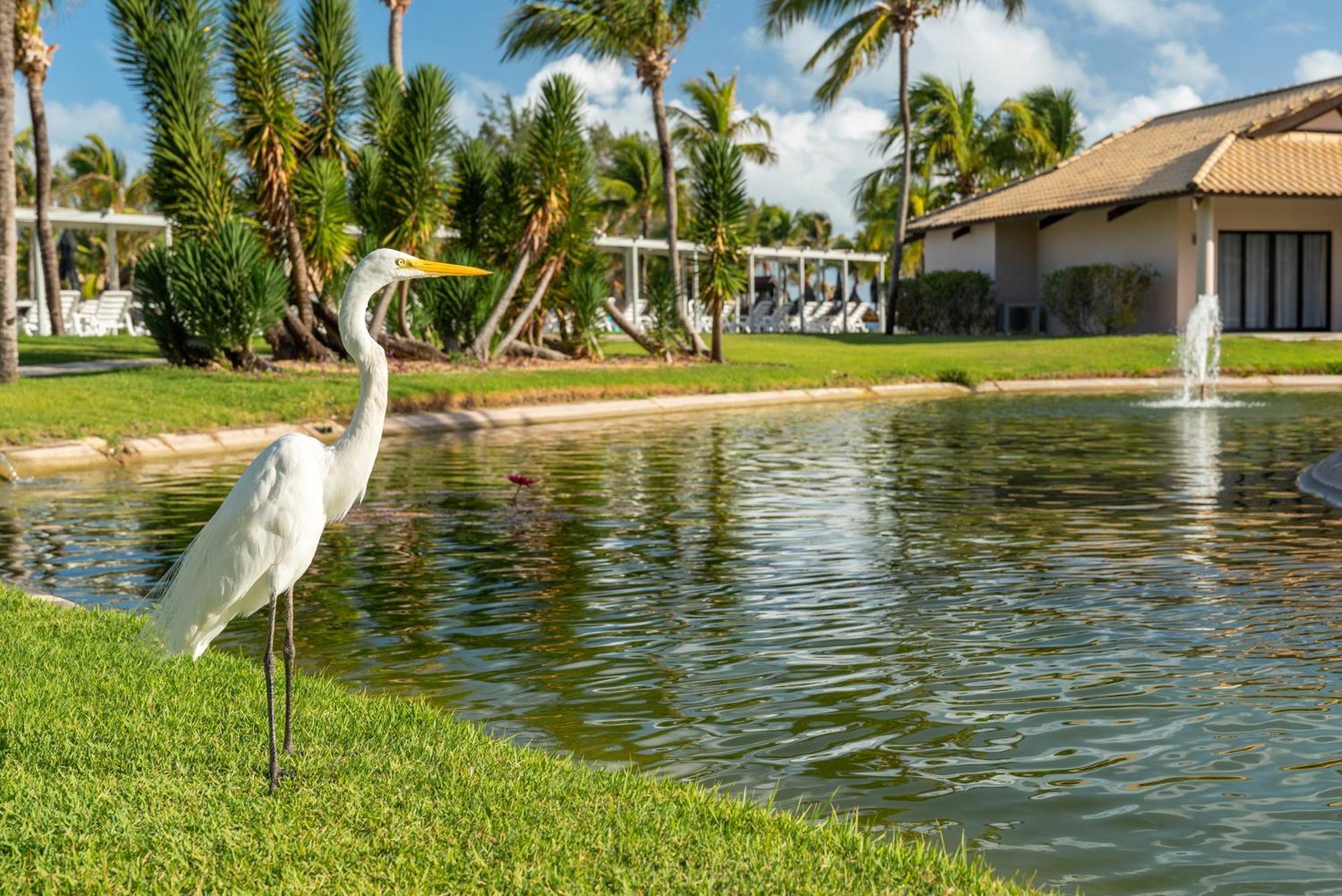 Vila Gale Resort Cumbuco Caucaia Exterior photo